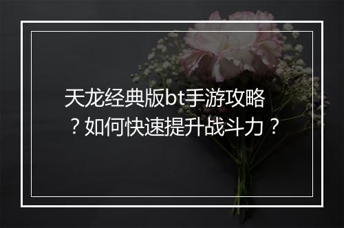 天龙经典版bt手游攻略?如何快速提升战斗力?