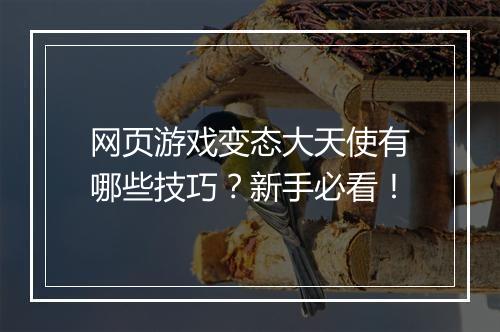 网页游戏变态大天使有哪些技巧？新手必看！