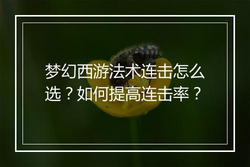 梦幻西游法术连击怎么选？如何提高连击率？