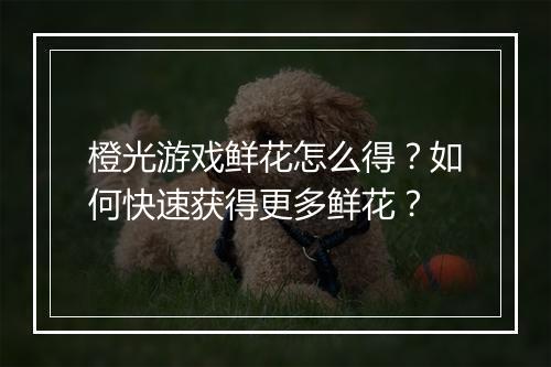 橙光游戏鲜花怎么得?如何快速获得更多鲜花?