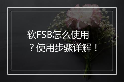 软FSB怎么使用？使用步骤详解！