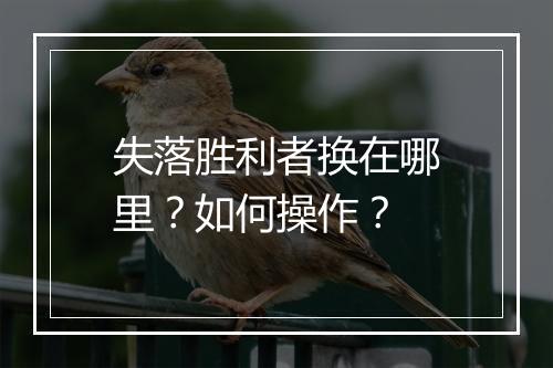 失落胜利者换在哪里？如何操作？