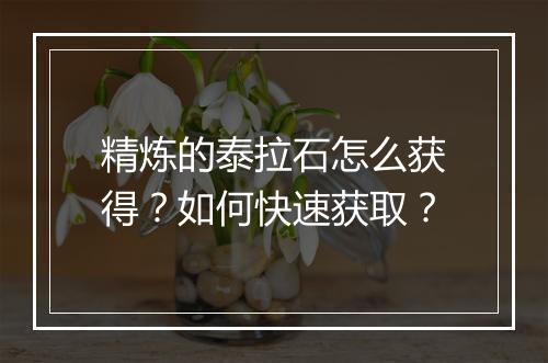 精炼的泰拉石怎么获得?如何快速获取?