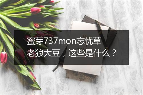 蜜芽737mon忘忧草老狼大豆，这些是什么？