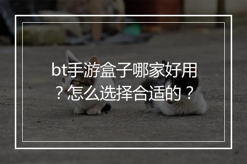 bt手游盒子哪家好用?怎么选择合适的?