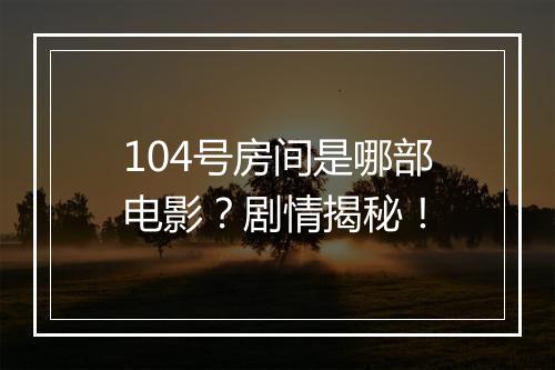 104号房间是哪部电影？剧情揭秘！