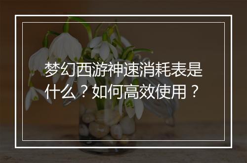 梦幻西游神速消耗表是什么？如何高效使用？