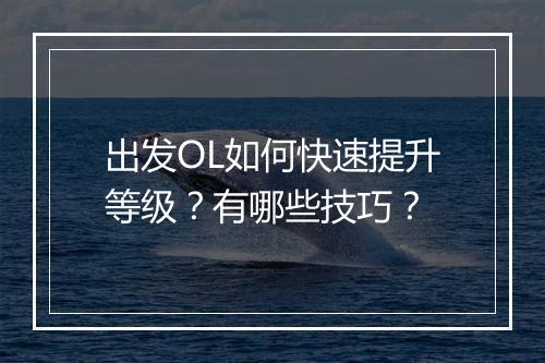 出发OL如何快速提升等级?有哪些技巧?