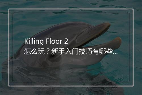 Killing Floor 2怎么玩?新手入门技巧有哪些?