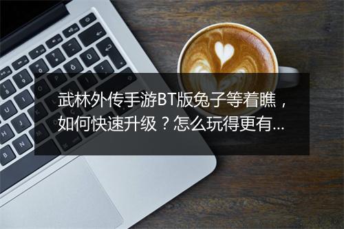 武林外传手游BT版兔子等着瞧,如何快速升级?怎么玩得更有趣?