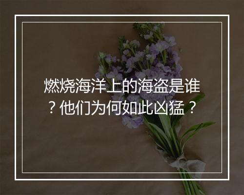 燃烧海洋上的海盗是谁?他们为何如此凶猛?