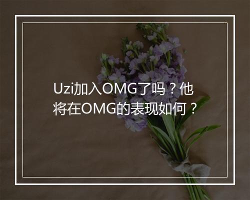 Uzi加入OMG了吗?他将在OMG的表现如何?