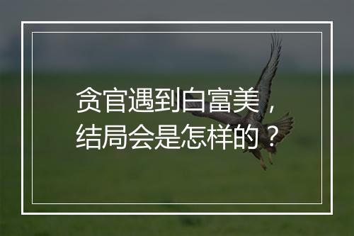 贪官遇到白富美,结局会是怎样的?