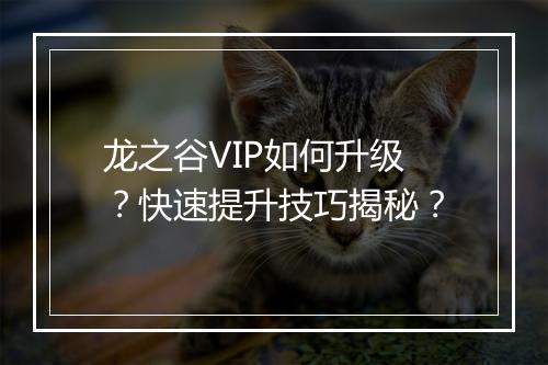 龙之谷VIP如何升级?快速提升技巧揭秘?