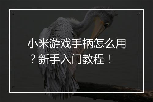 小米游戏手柄怎么用？新手入门教程！