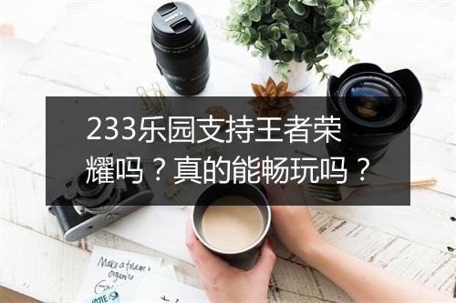 233乐园支持王者荣耀吗？真的能畅玩吗？