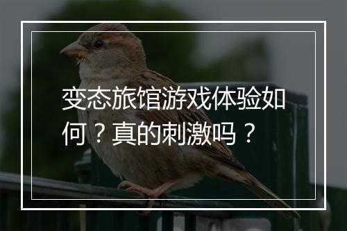 变态旅馆游戏体验如何？真的刺激吗？