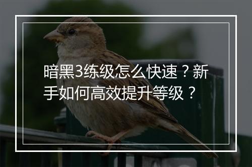 暗黑3练级怎么快速?新手如何高效提升等级?