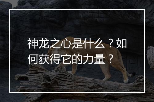 神龙之心是什么?如何获得它的力量?