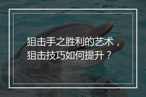狙击手之胜利的艺术，狙击技巧如何提升？