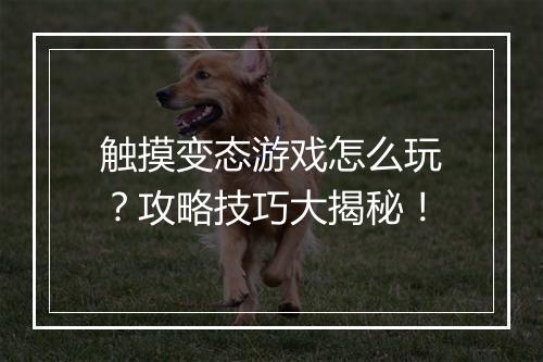 触摸变态游戏怎么玩？攻略技巧大揭秘！