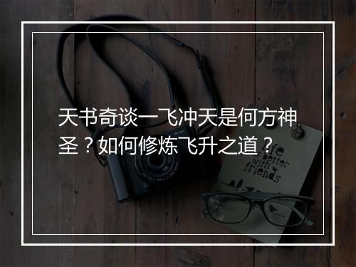 天书奇谈一飞冲天是何方神圣？如何修炼飞升之道？
